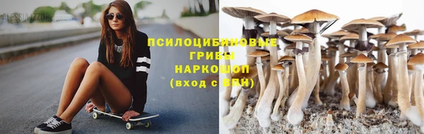 молекула духа Михайловка