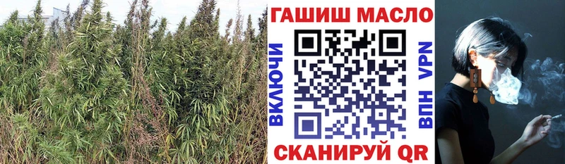 Дистиллят ТГК гашишное масло  Купить закладки  Ленинск 