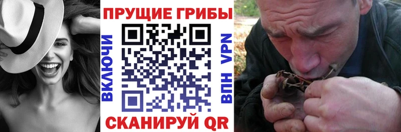 Купить где  Ленинск  Псилоцибиновые грибы Cubensis 