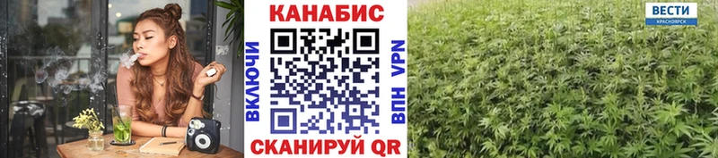 Купить где Ленинск Каннабис THC 21%
